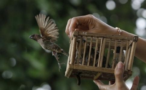 放生令我们躲过大劫难