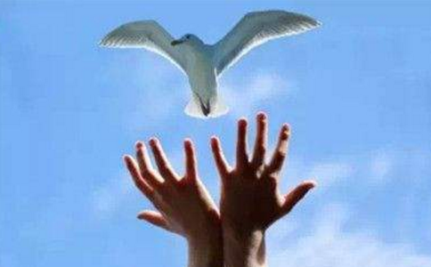 放生躲过大劫难