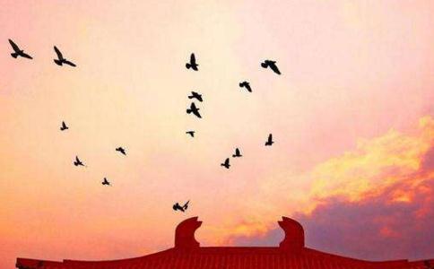 大量放生可以改命运，消业障