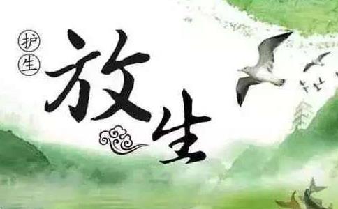 放生途中的奇异“遇仙”经历