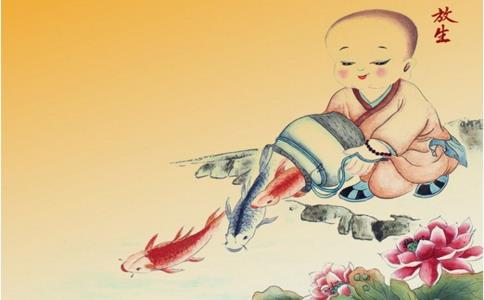 放生得福报的案例