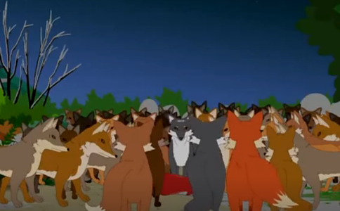 动物的情义：狐狸的葬礼