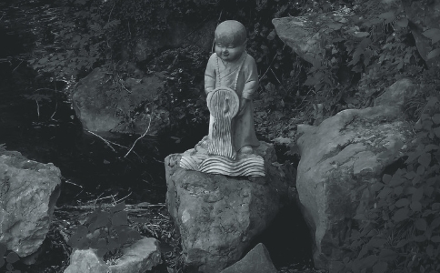 什么是放生会？放生仪规的基本程序