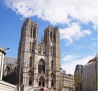 人鸟共处比利时小鸟的天堂