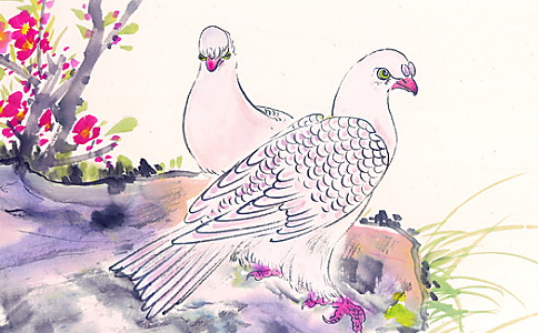 如何放生？放生的注意事项