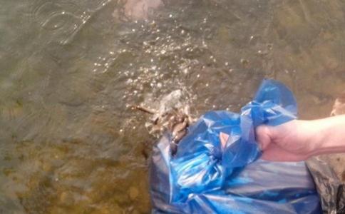 放生一定要念咒吗？简单放生念什么？