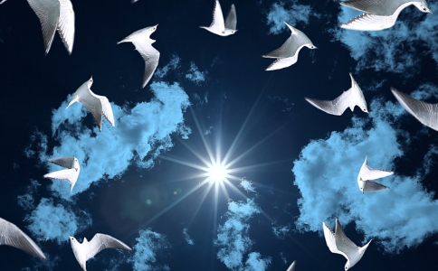 以什么样的心去放生才是真功德？