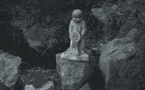 放生的意义是什么？如何放生才是正确？