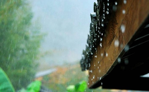 对于无情众生是否有放生的意义存在？