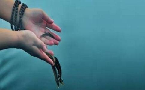 净土放生仪轨（从最简单到实用）