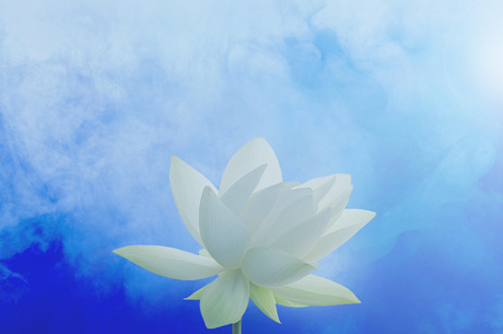 放生的本意及注意事项