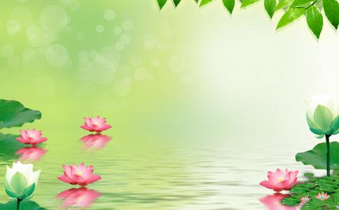 把我问的哑口无言的放生问题的答案