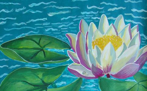 汇款代放生和亲自放生有何区别？