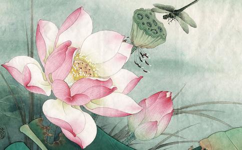 放生是魔王最怕的！