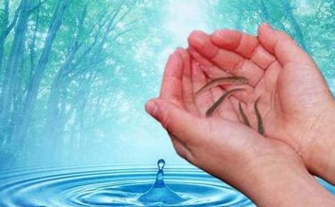 谈谈放生的几个注意事项