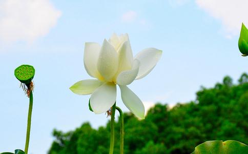 为什么魔王怕放生