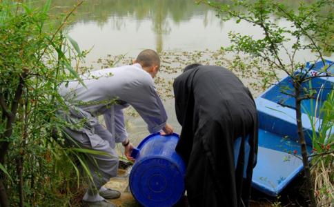 佛教放生的功德和福报和注意事项