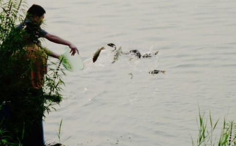 放生时有人在钓鱼怎么办？