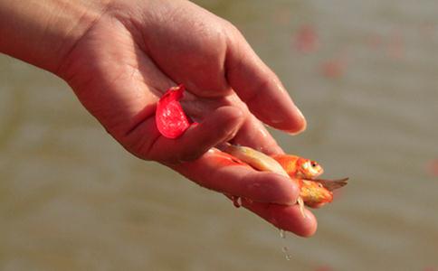 在家居士放生的时候要注意什么？