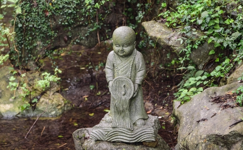 放生有什么用？放生的目的与注意事项