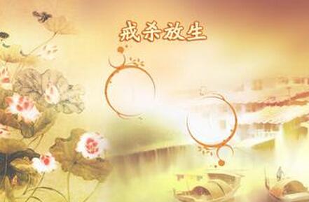 戒杀（佛教名词）