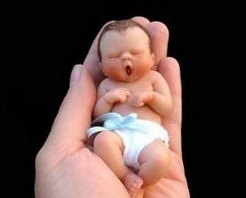 堕胎_堕胎的果报