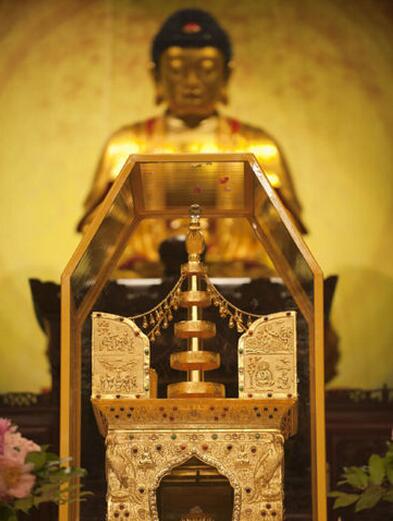 【舍利】-佛教的舍利指的是什么