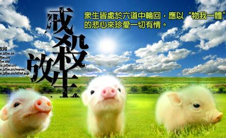 【杀生】-杀生是什么意思？