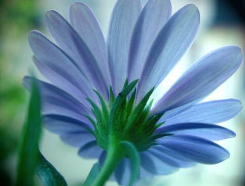 修慧（佛教名词）