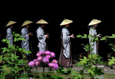 【僧众】-佛教僧众