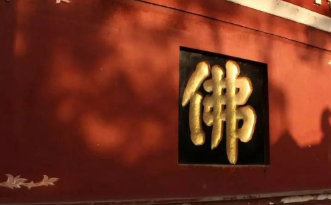 天台宗“无情有性”和《华严经》“无起无为”有何区别？