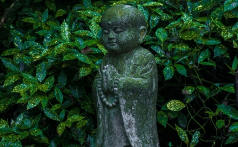 若见丛林，当愿众生，诸天及人，所应敬礼的意思