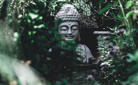 如何立身处事，修行办道？《华严经》的这首偈颂告诉你