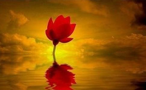 开悟者的心灵状态