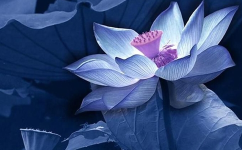 如何理解去佛教的“心、意、识”呢？