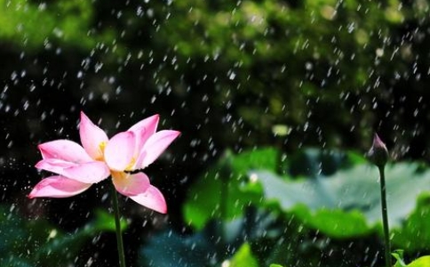 什么叫杀生？胎儿没成形前堕胎算杀生吗？