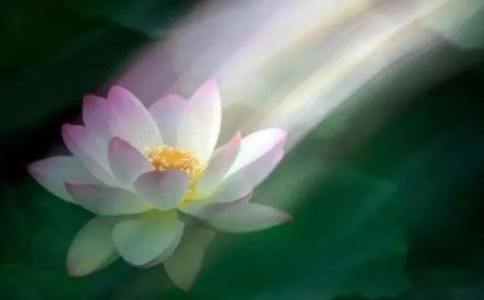 求生备足三资粮是否念佛后要回向给自己和其他？