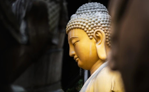 平等与慈悲，佛教的慈悲平等观