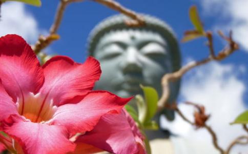 佛前供香、供花、供灯、供果的含义