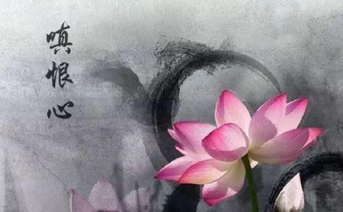 如何消除内心的嗔恨？