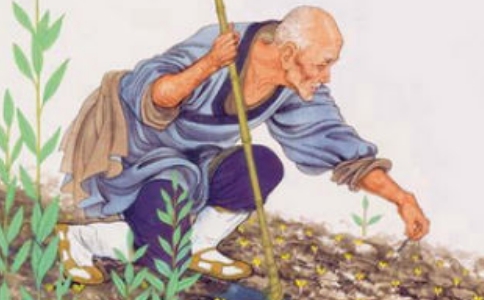 念佛往生，禅门巨匠百丈禅师给我们指引的修行路径