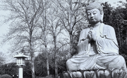 性专法师持诵《法华经》见极乐圣境，最后发愿往生