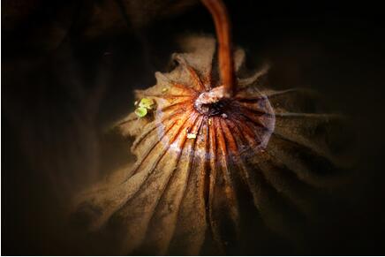 人为何受轮回？