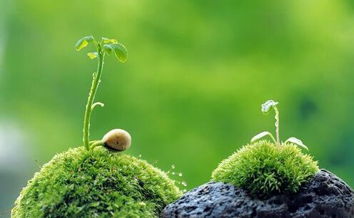 不是牺牲也非放弃，给与是一种生命力