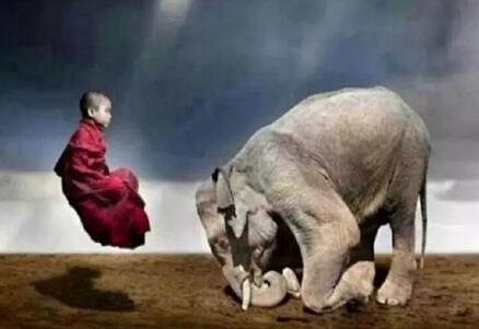 济世情怀慈悲心