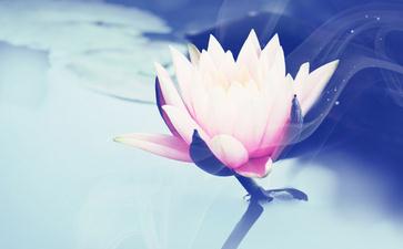 七律　弘一法师