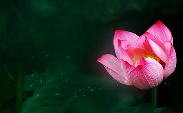 “信仰共同体”易受政治因素影响