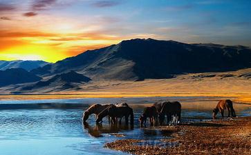 中国佛教界在环保操作上存在的问题