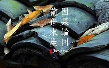 因果报应连通前世今生来世