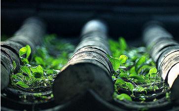 寻找内在的自性清净心